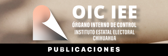 Declaración Patrimonial personal IEE
